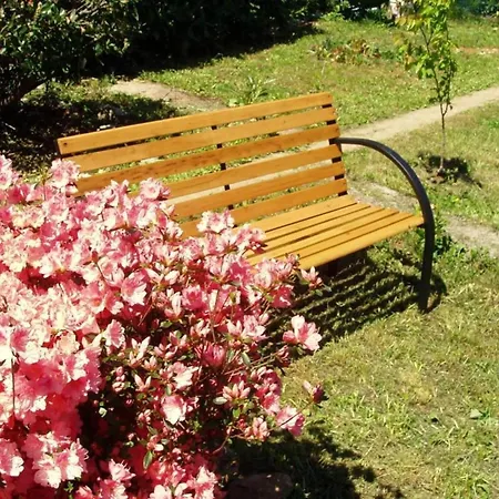 Charming Kestenovi Dvori - A6 Apartment